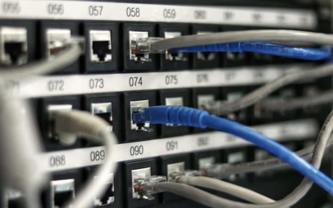 Backups: the first line of defence for your digital business